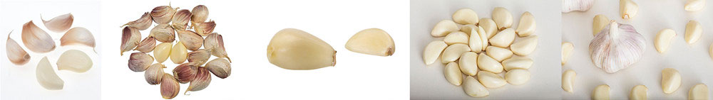 The application of garlic peeling machine