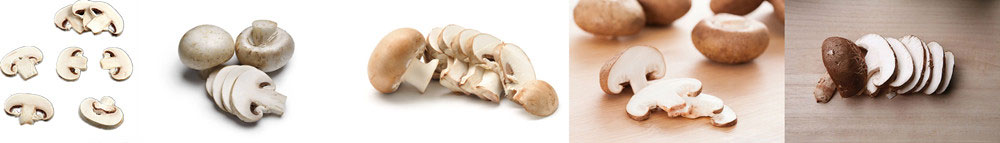 The application of mushroom slicing machine
