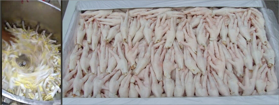 chicken feet skin peeling process and peeled chicken paws