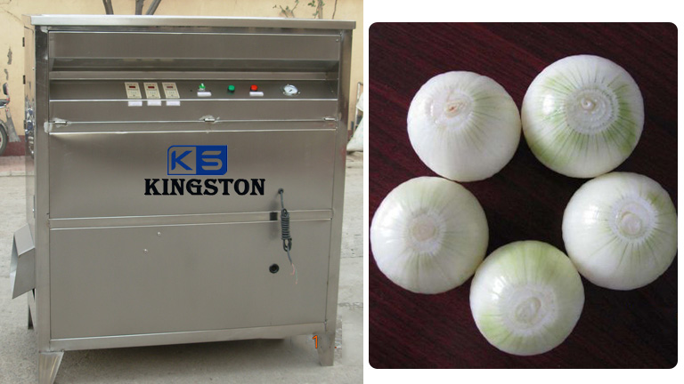 onion peeling machine
