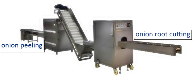 onion root cutting and peeling machine