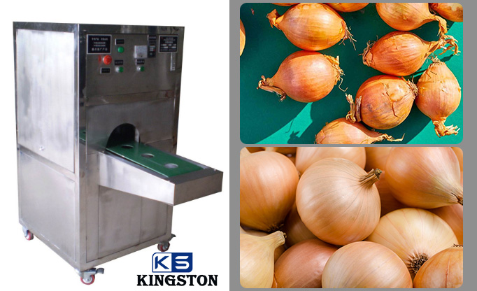 onion tail and root cutting machine