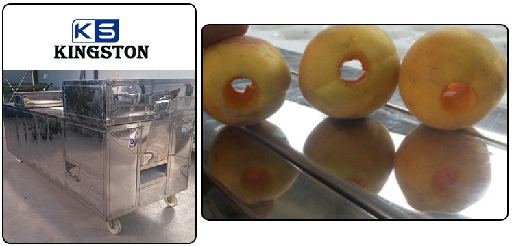 fruit deseeding machine for sale