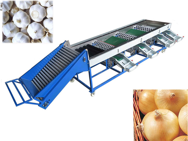 garlic sorting machine