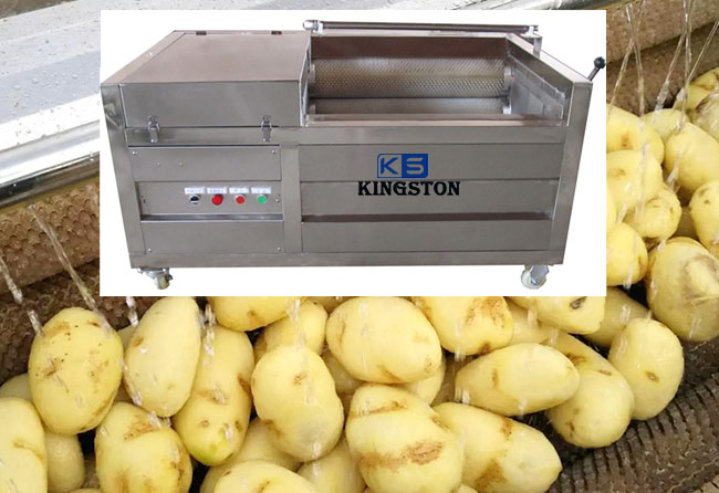 industrial potato washer