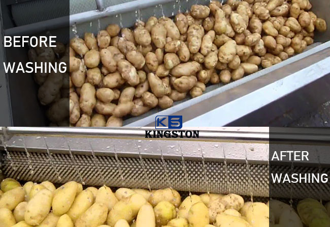 potato washing machine