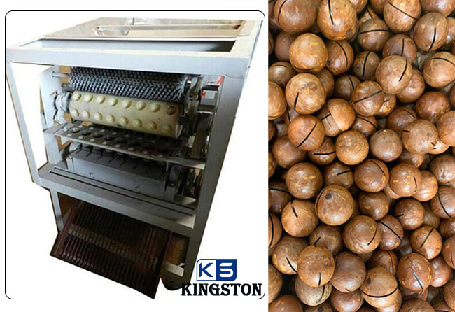 Macadamia Nut Cutter Machine