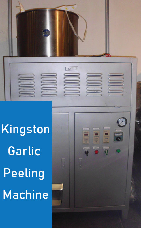 industrial garlic peeling