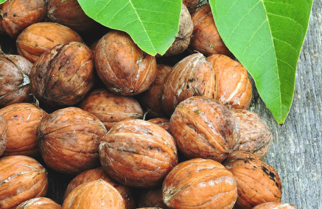 walnut peeling method